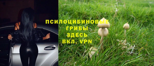 бутират Тайга