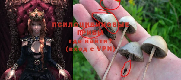 прущий лед Володарск