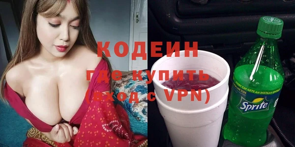 дурь Тавда