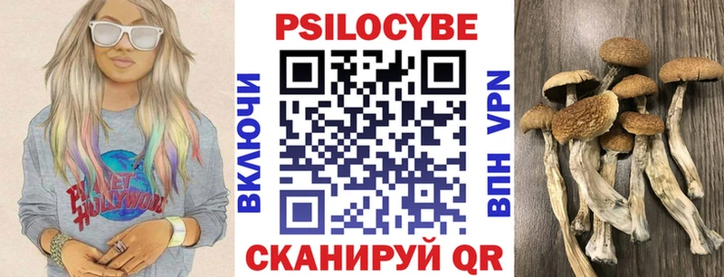 где купить наркоту  Ейск  mega tor  Галлюциногенные грибы Magic Shrooms 